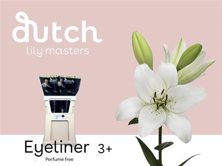 Lily La Eyeliner