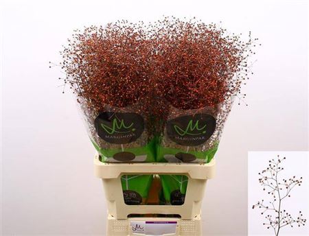FeedSync:wholesale:5ca5826c76541414d1fedf7e0b1ba3d4ff0ac551