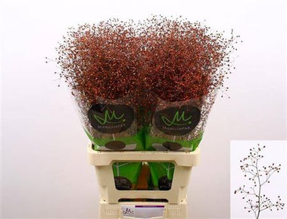 FeedSync:wholesale:5ca5826c76541414d1fedf7e0b1ba3d4ff0ac551