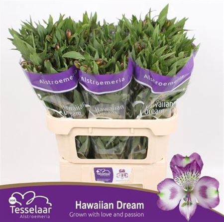 FeedSync:wholesale:be59a7c18955514b87edbcf1cf7cda1bed5f8fc6