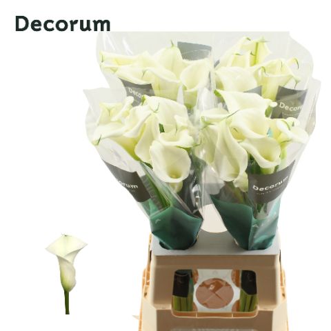 Calla Crystal Blush