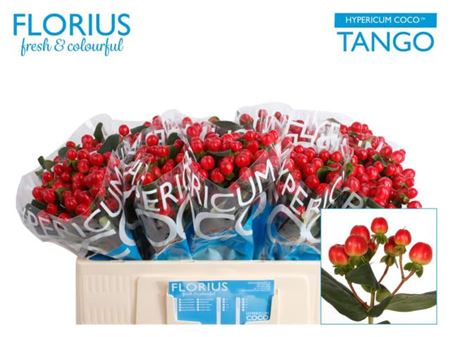 FeedSync:wholesale:c046b145be30d411969a69c9e9e7b0c8ee7fb1e4