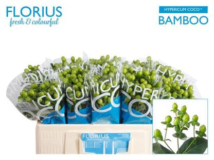 FeedSync:wholesale:2f633cf3b60ed0989db50f8a49b79e7c39b04fbf