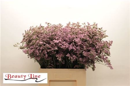 FeedSync:wholesale:4ba3e9aa7dbf4953783ebc96a7338a6a7a0982be
