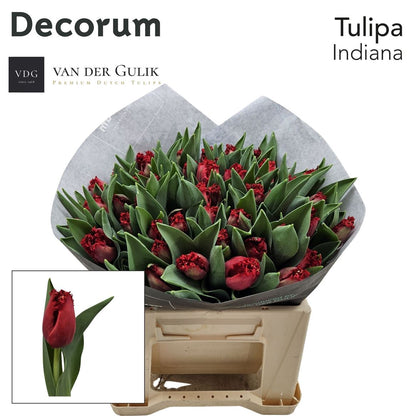 FeedSync:wholesale:92e59c57e12834de6ecbac90a3c61de1f04ce16e
