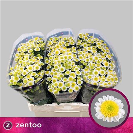 FeedSync:wholesale:8d6f906b79d08af1262a67d48744dbf32f3416ea