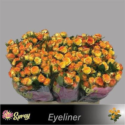 Spray Rose - Rosa - Eyeliner