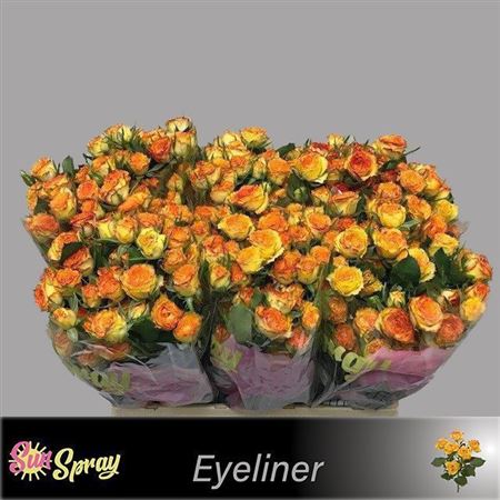 FeedSync:wholesale:912efe62d3ab267fc6ced4f9daefdf28bb036947