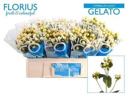 FeedSync:wholesale:2ea91c45c5be3697887524f37176b10291c54665