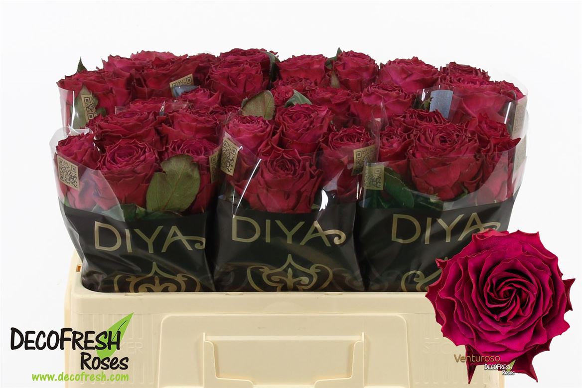 FeedSync:wholesale:c80f2248eac2b91f51390fa12acf02fef74a8dcc