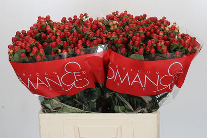 FeedSync:wholesale:107211d151d300a27e899c452236614bcf752085