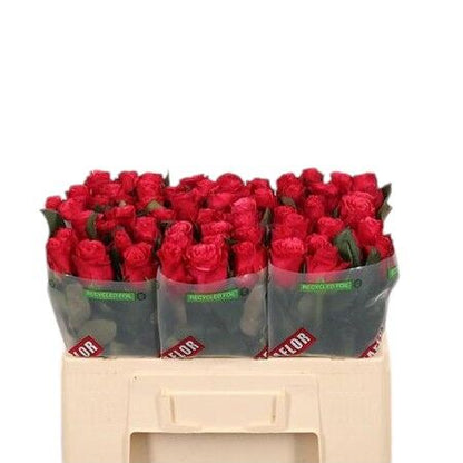 FeedSync:wholesale:91e8f233f93c8631a45d8b447ffaa5b0a5cbd3bf