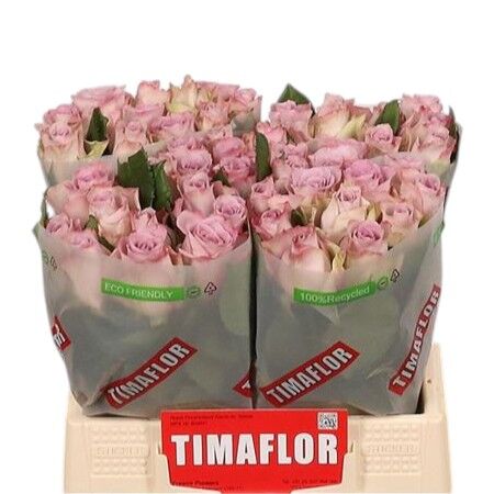 FeedSync:wholesale:cb1ce852932e567831d98af18f36482d830c35da