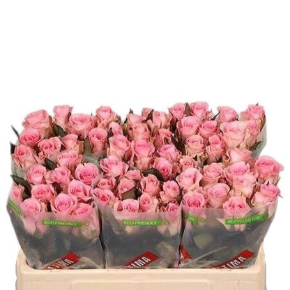 FeedSync:wholesale:5334494b03d50f091a93c7635e66b85eabc8ec3d