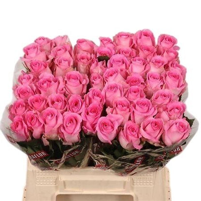 FeedSync:wholesale:87c3ba6b0155bd579e01e2cee536396801df8e97