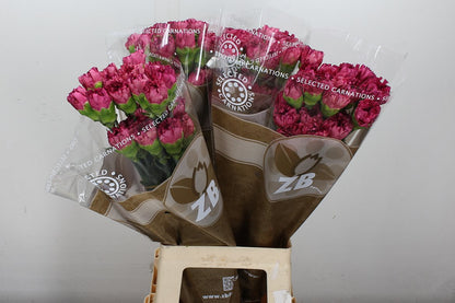 FeedSync:wholesale:d07b7f2327370f6f741ed39e417ac80ccbb36f18