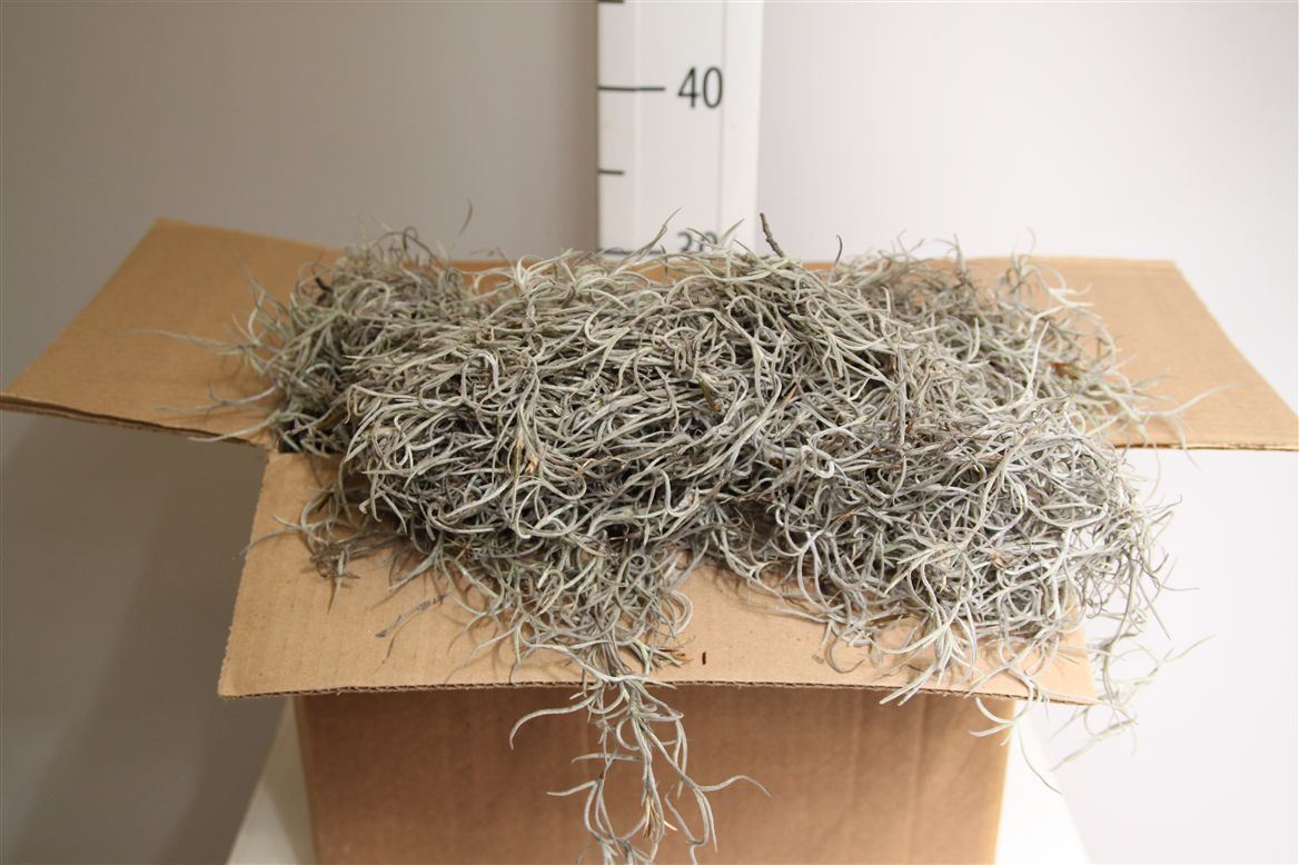FeedSync:wholesale:6835c7d32fd4292b9650bbb4f86c80070af44756
