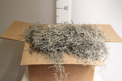 FeedSync:wholesale:6835c7d32fd4292b9650bbb4f86c80070af44756
