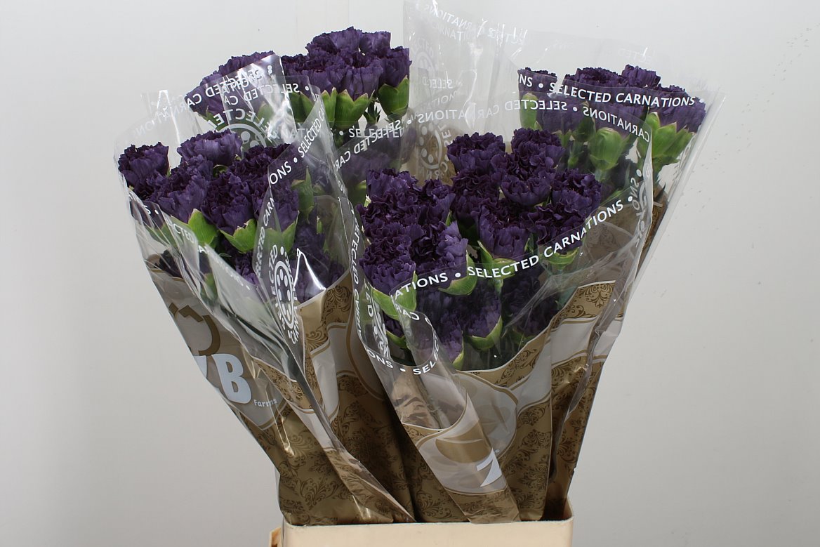 FeedSync:wholesale:3130d71cbb5057841cfb861d07a189397311c093