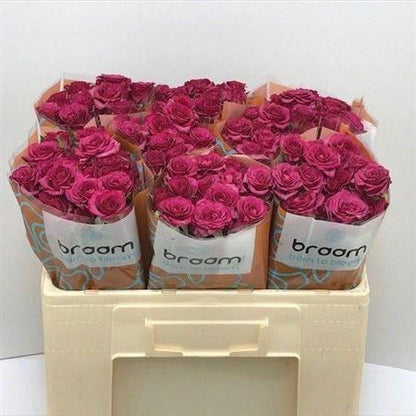 FeedSync:wholesale:3f9721affc96edcbb0c162c9655483e6728d14ff