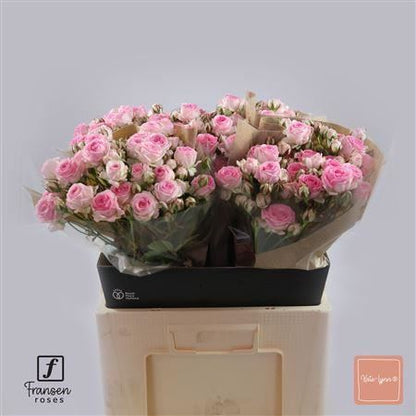 FeedSync:wholesale:b90f07a2a69041554e4a82eaff313231fd54f879