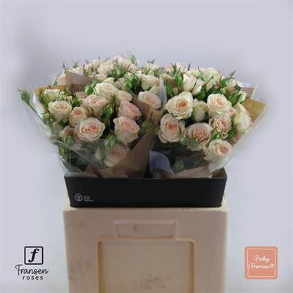 FeedSync:wholesale:c2031dbac31186555d0995a33f130974fc669bc4