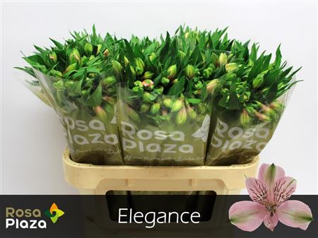 FeedSync:wholesale:de585e0517f06299b9772cf3ae48fbab1334a8f2