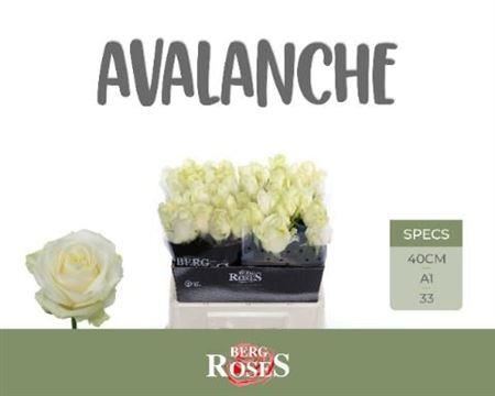 FeedSync:wholesale:7b28478265b000b1b774aeed0a76ae5665205bb5