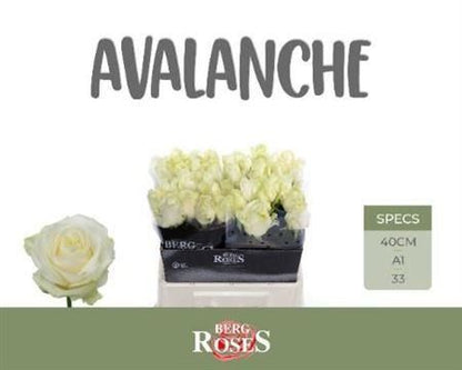 FeedSync:wholesale:7b28478265b000b1b774aeed0a76ae5665205bb5