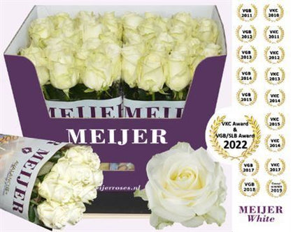 FeedSync:wholesale:80ced08d37903f5028c12d2b2a22422092b7f573
