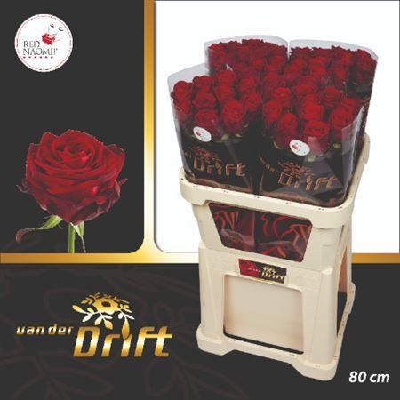 FeedSync:wholesale:492b65aa76683d252da2ddd0e8e68bd938b2f4f1