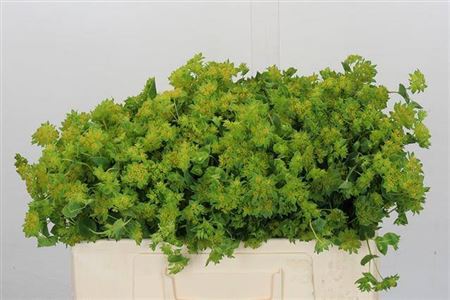 FeedSync:wholesale:34d20a2fa3edfbcbce3432e05f8bec73458207f7