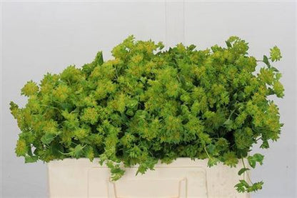 FeedSync:wholesale:34d20a2fa3edfbcbce3432e05f8bec73458207f7
