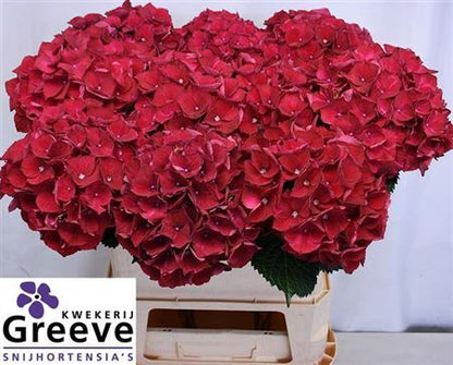 FeedSync:wholesale:2e25b08c0127ba2ce38ecf58b43af30d41488c71