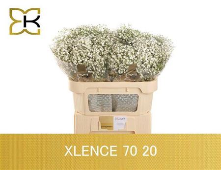 FeedSync:wholesale:29d43016482660c19b74ce168a03e280e6e95255