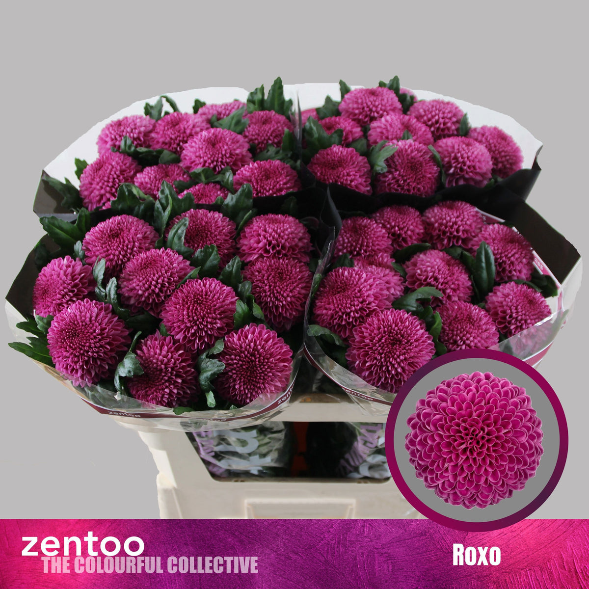 FeedSync:wholesale:3e7722b536dfef98a877440d7bae5f664d4d3bd7