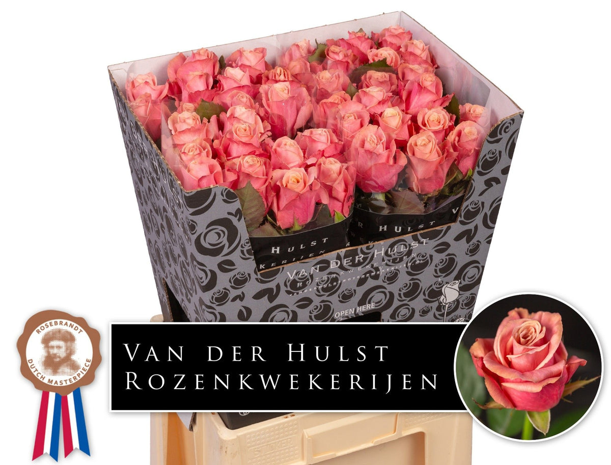 Rose Adele