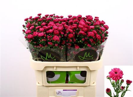 FeedSync:wholesale:18c95ad816c45d3328cc4792fc9bf93dcff6fa5c