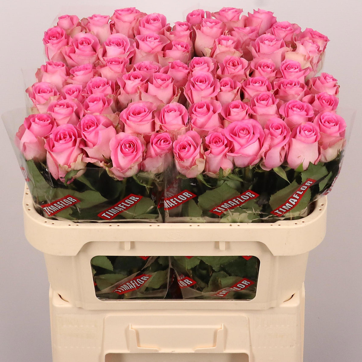 FeedSync:wholesale:955a2071361807b767aad6e5292d3a19ff6bf1d8