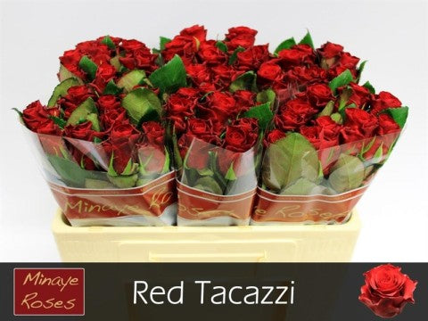 FeedSync:wholesale:be77f8918dd9ceb19122e6512f79749e5c42136a
