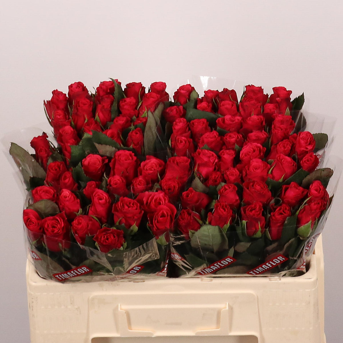FeedSync:wholesale:2f4e23c487fc6d8d4a9fbb7a37cb827e1629e664