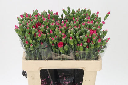 FeedSync:wholesale:467196b977f4852db49668bd18a7d3c6aa852695