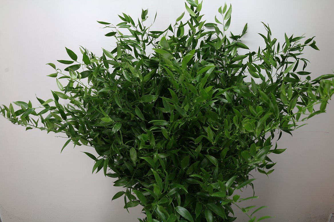 FeedSync:wholesale:866ce5ba9f5918d5e82619e5197120d1c0b0a587