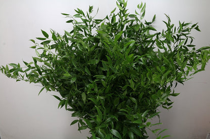 FeedSync:wholesale:866ce5ba9f5918d5e82619e5197120d1c0b0a587