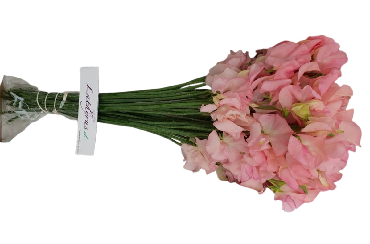 FeedSync:wholesale:bb9cafc1550f7961e5819fc9b750ab4022580516