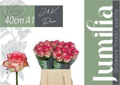 FeedSync:wholesale:5ff83d174d99c45f67d5d5903642d7ab7dda1b54