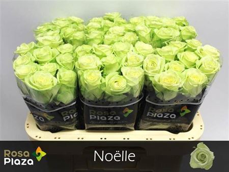 FeedSync:wholesale:61646fecb27e7dca47a609767c79eba31410e58f