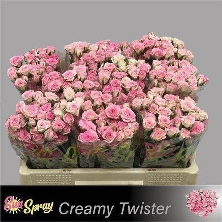 FeedSync:wholesale:1d0cc2ed5d84d694ea900b6b0825c849c258f2f4