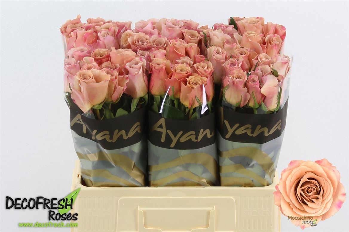 FeedSync:wholesale:da770fe450f433f1e052237ce743691d408993d3
