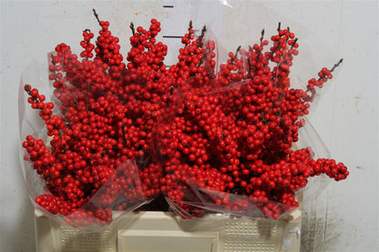 FeedSync:wholesale:016305def1498b064d2631d06676e7d1a65a3e6b